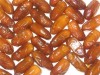 dates available for export
