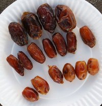 dates, new crops
