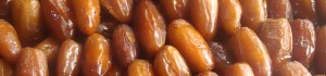 dates export globally
